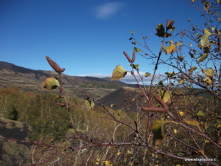 llone monte Zappinazzo-04-11-2012 10-09-53